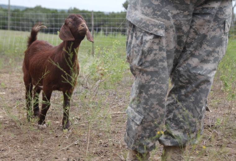 81st Civil Affairs Battalion Training